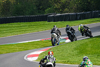 Middle Group Green Bikes